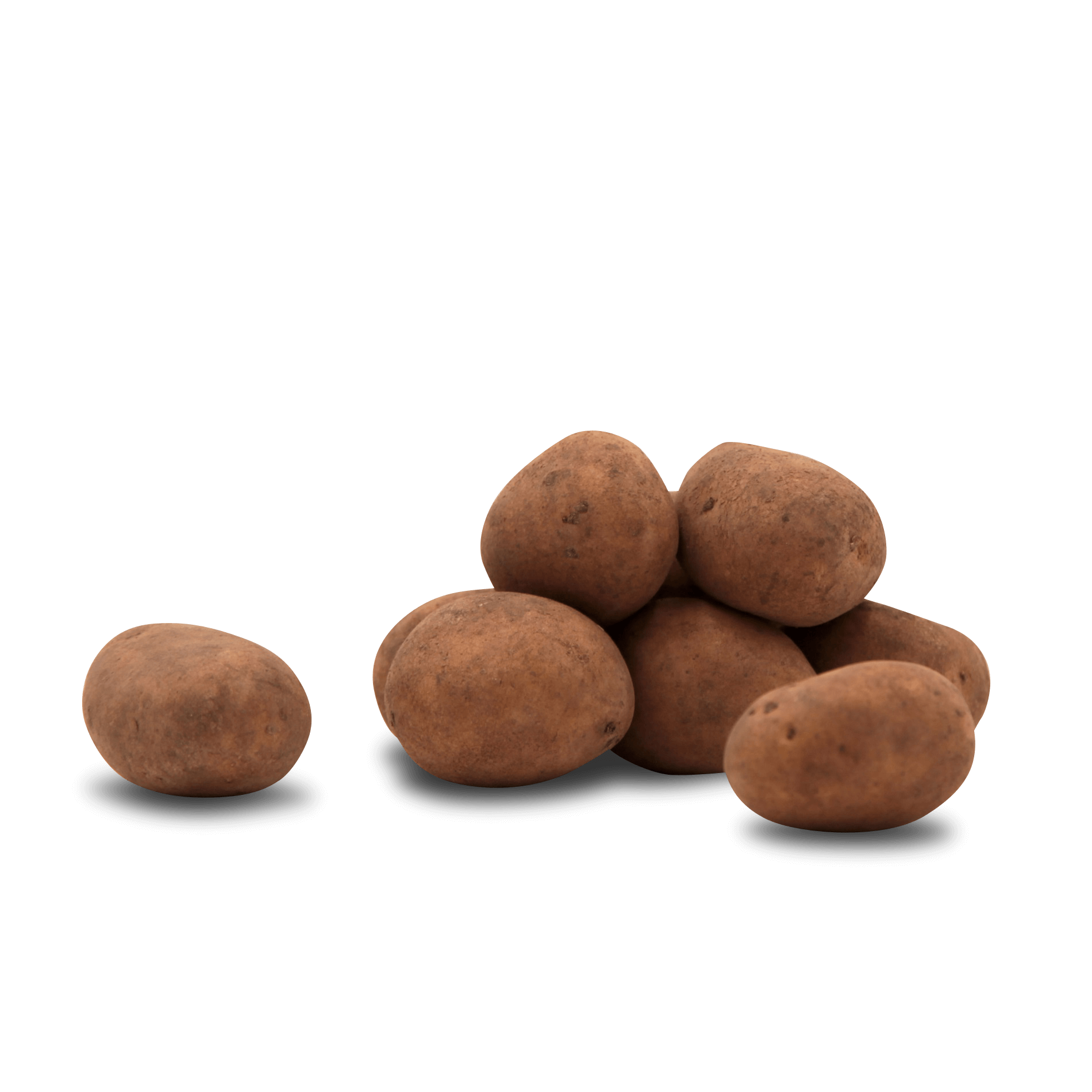 Kartoffel 'Drillinge ungewaschen' (festkochend)