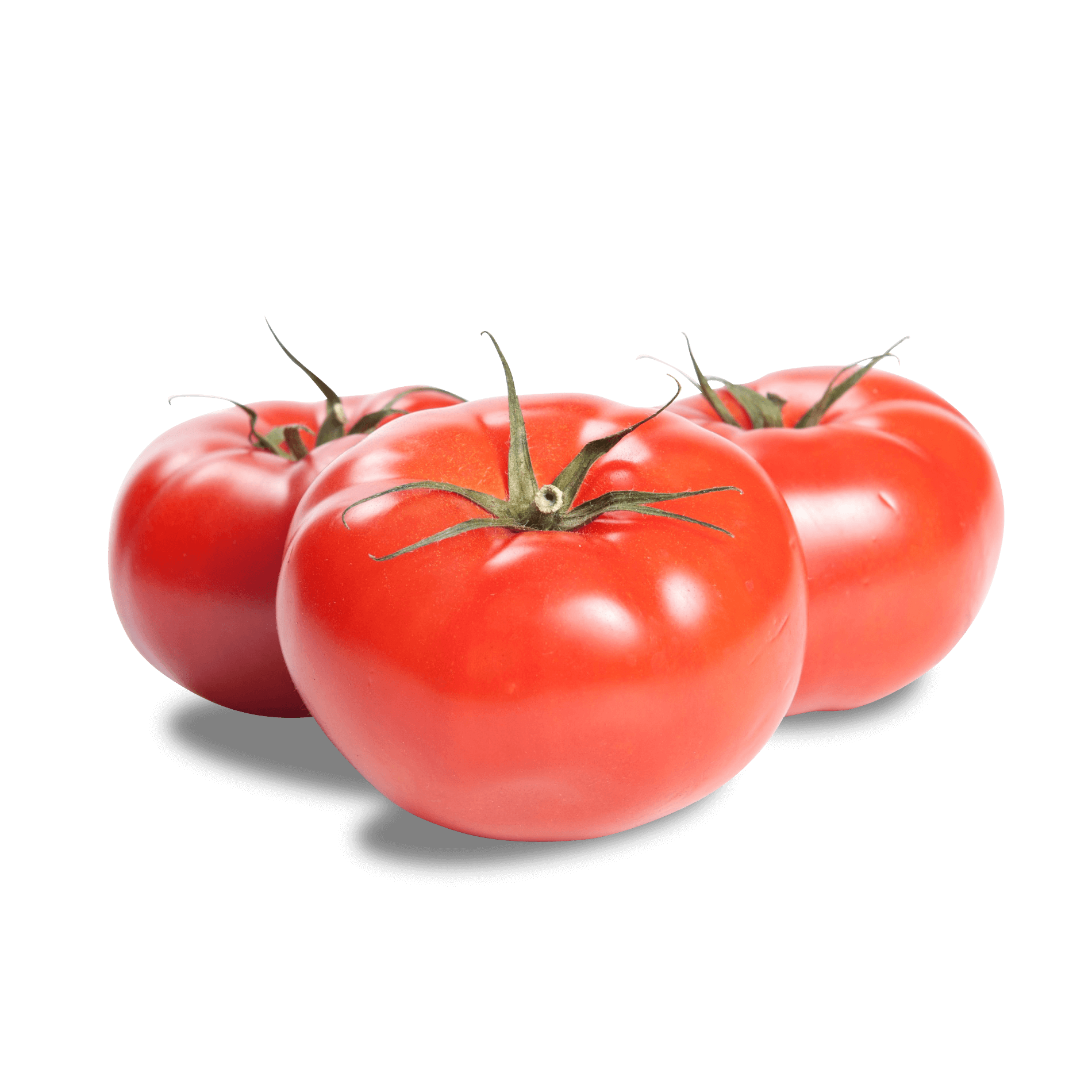 Burgertomaten (Fleischtomaten)