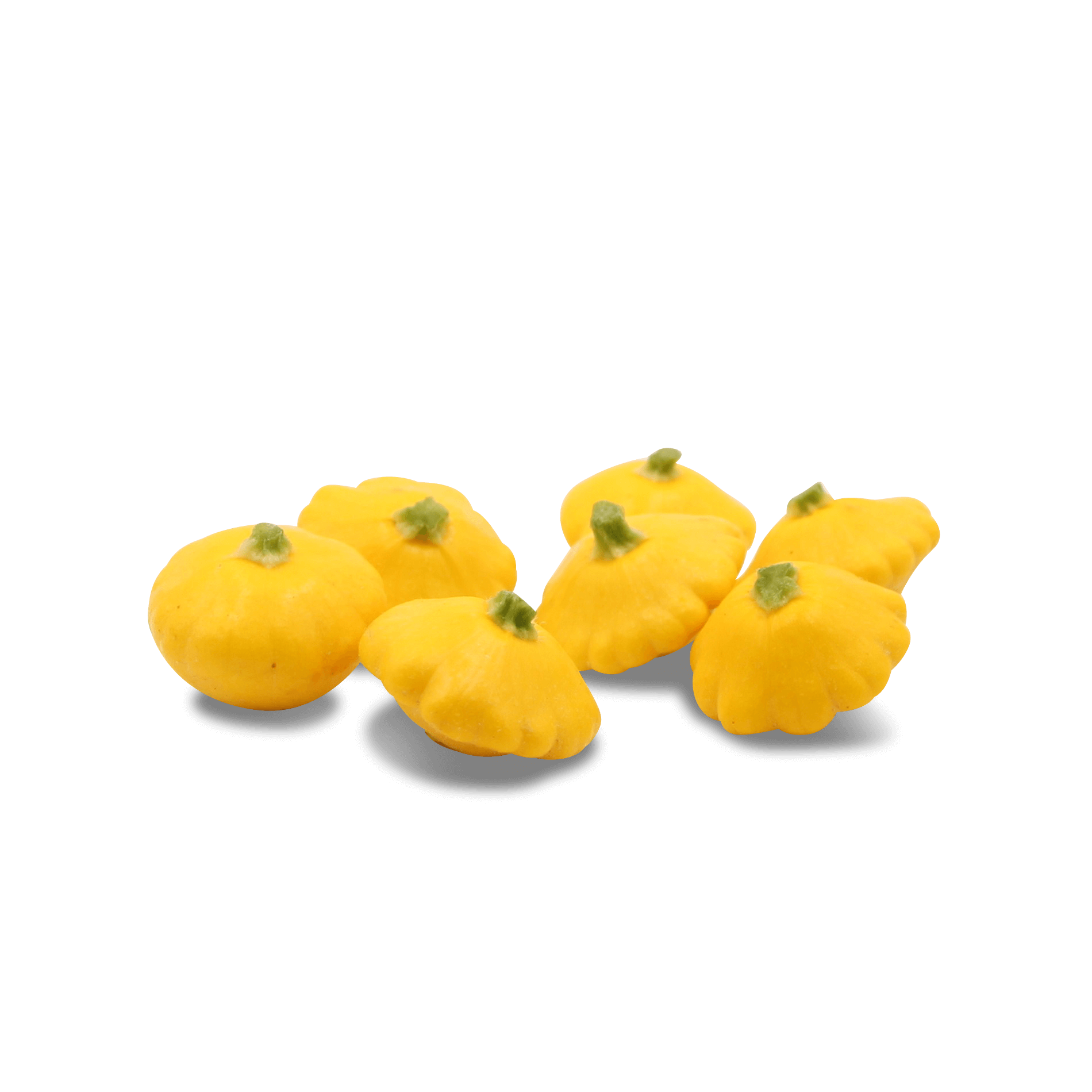 Mini Patisson 'gelb'