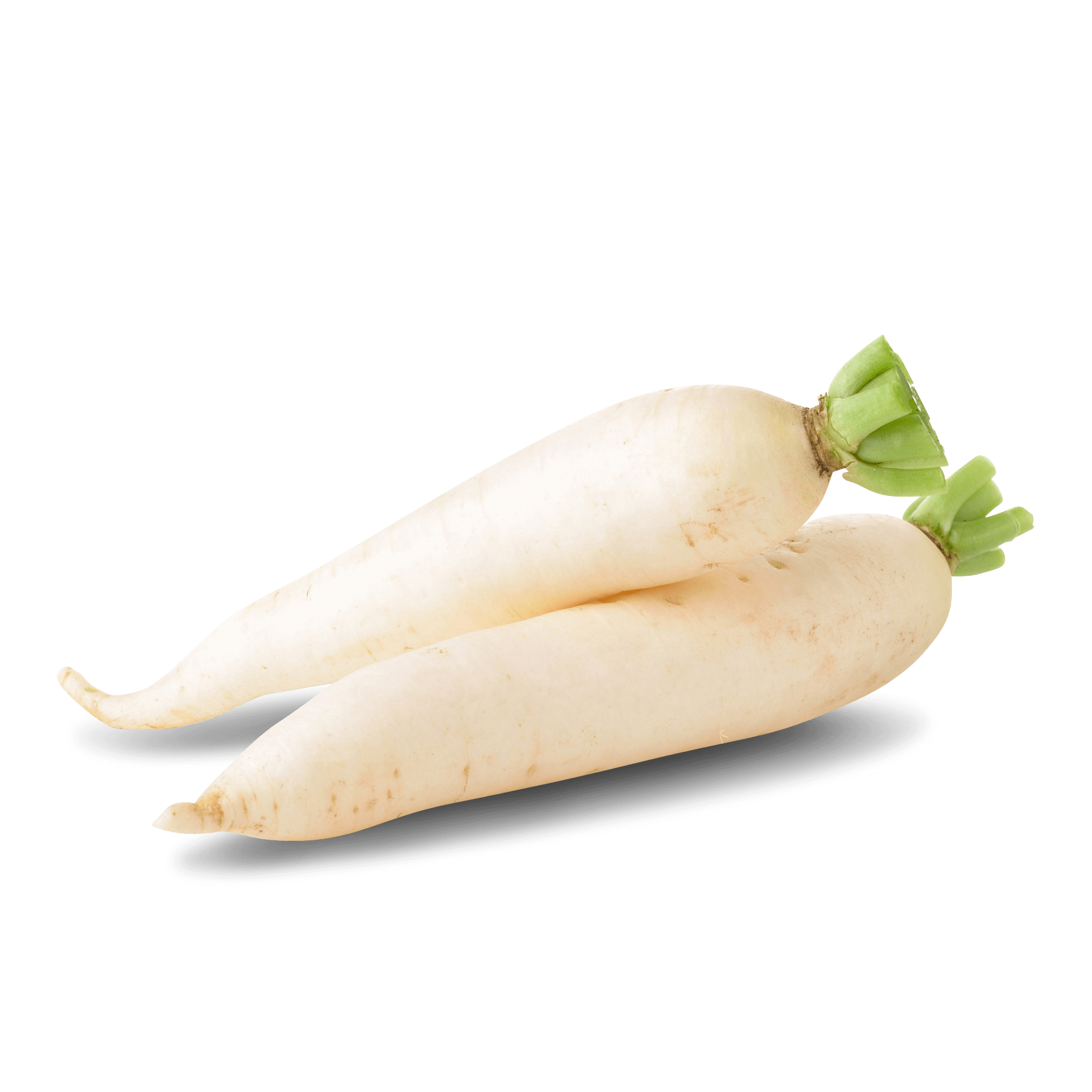 Rettich 'weiß'