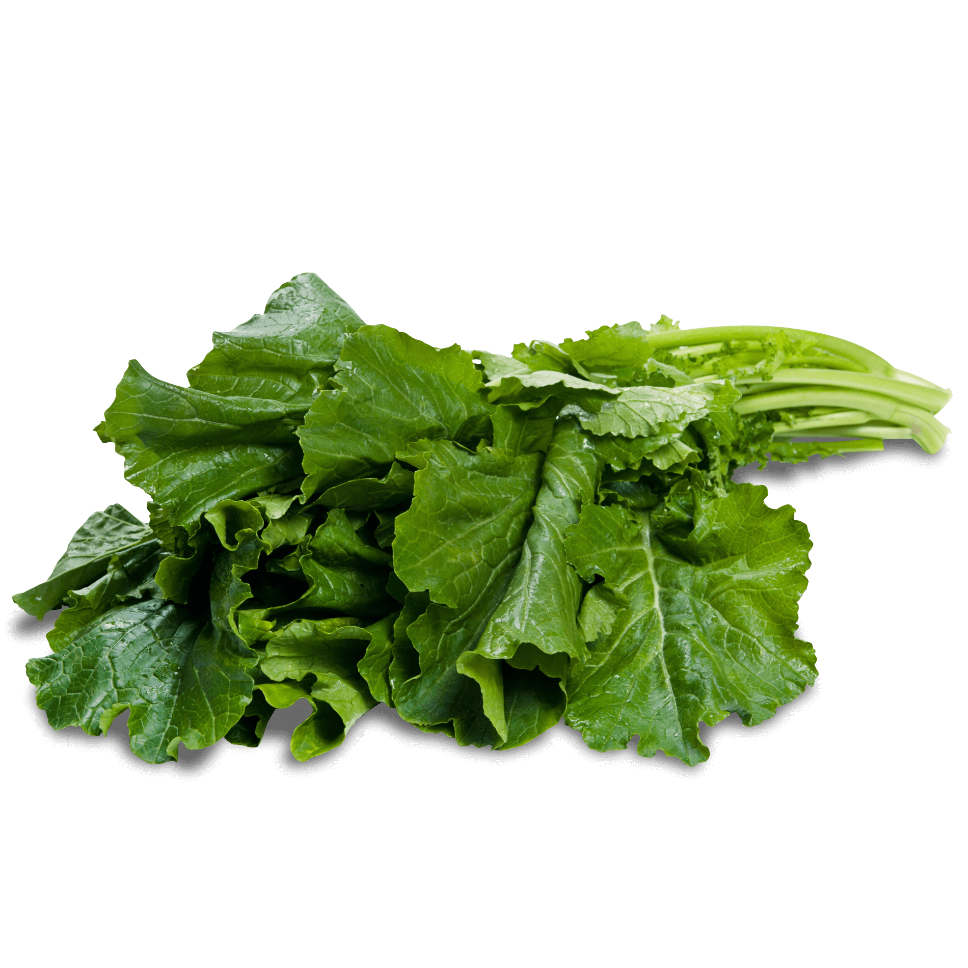 Cima di Rapa