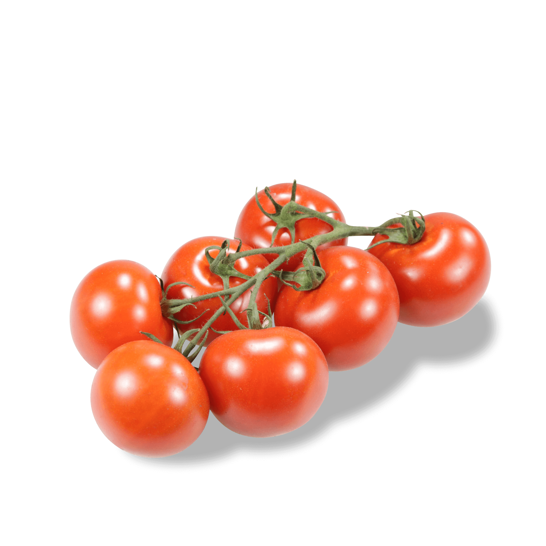 Bio Tomaten 'am Strauch'